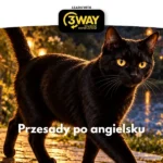 Przesądy po angielsku